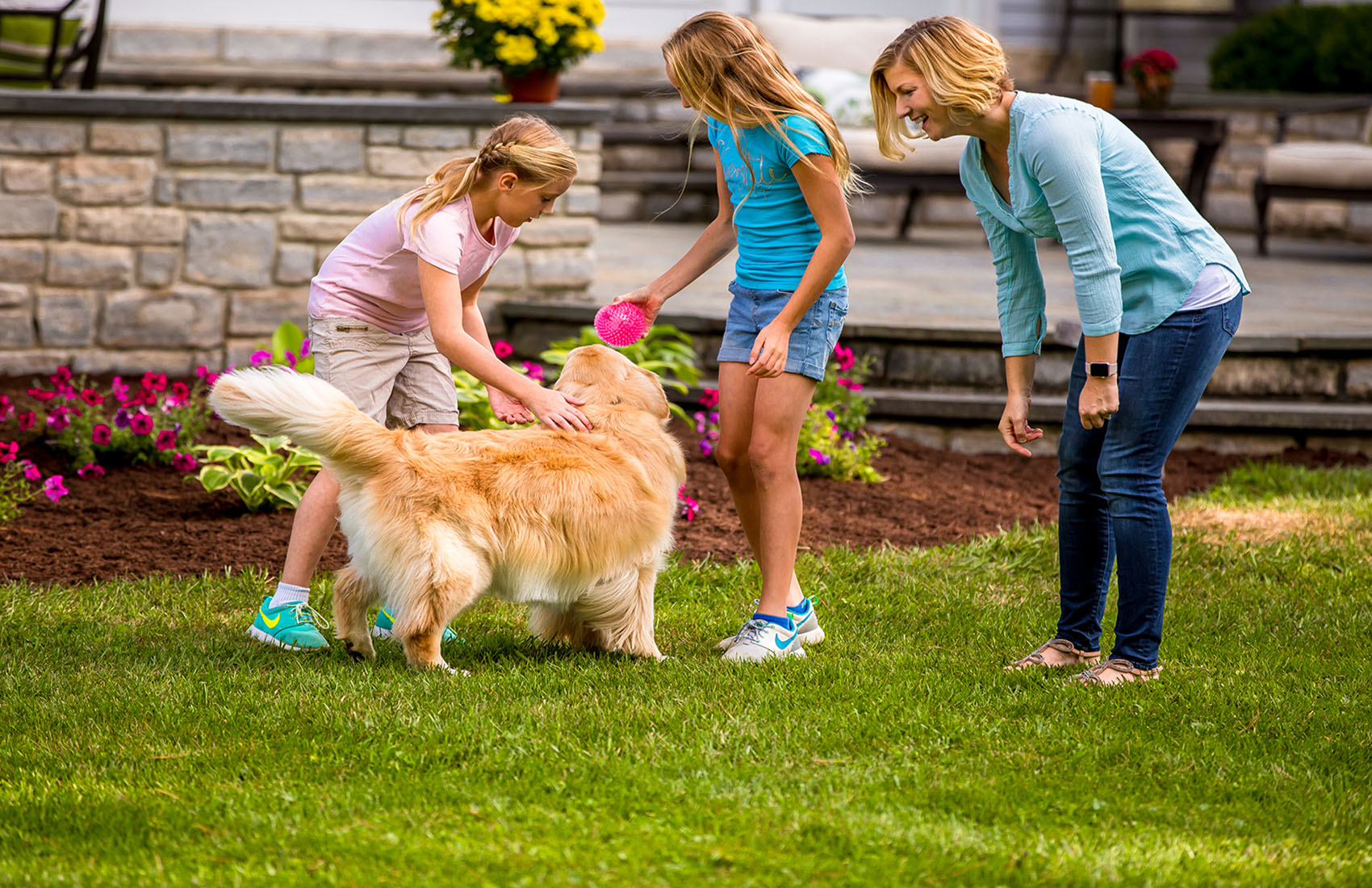 Derby´s Pet Fence Louisville, Lexington & Southern Indiana's #1 & Best  Electric Dog Fence Company